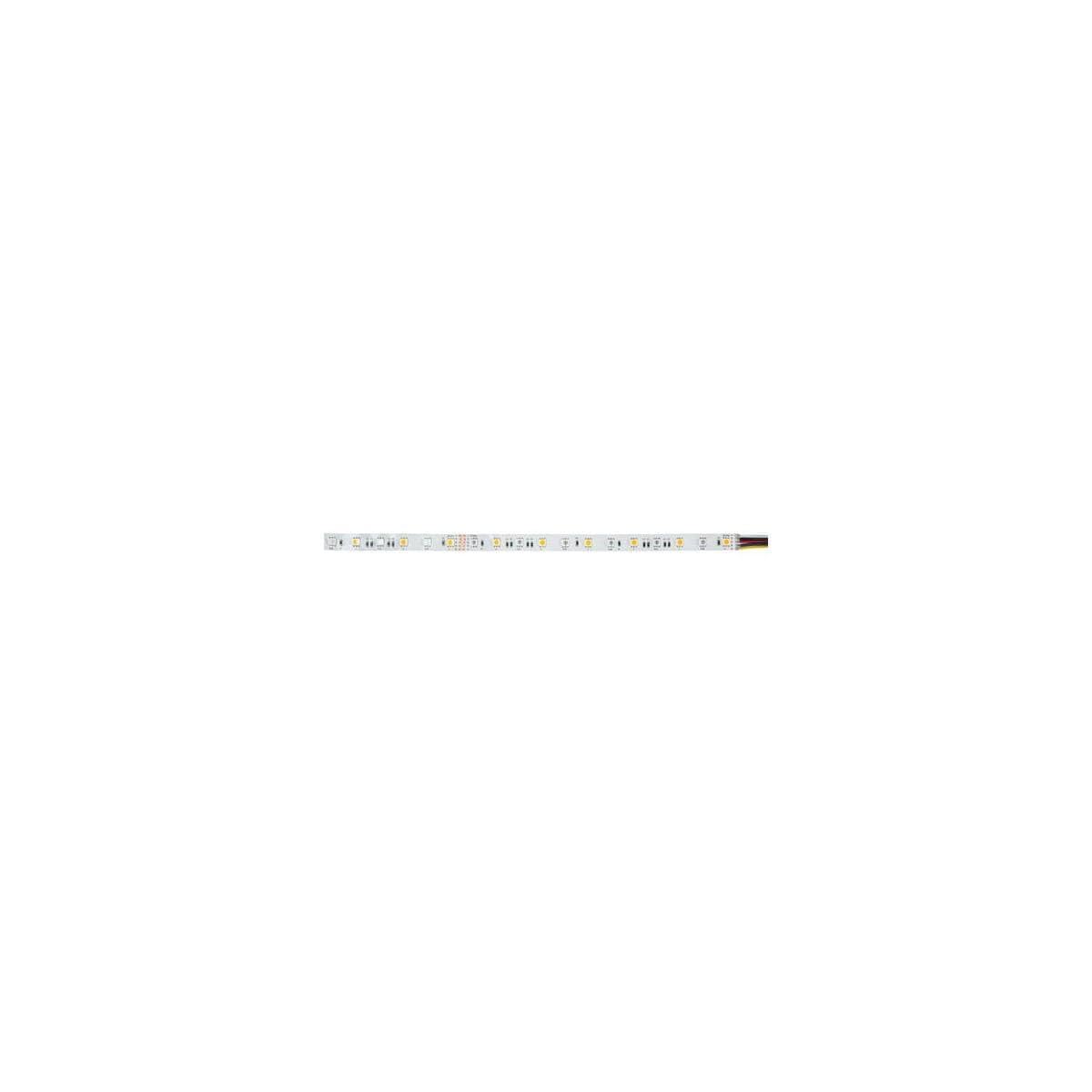 Brumberg Tira flexible LED 24V RGB+W IP00 5m - Cinta luminosa/manguera/tira 24V RGBW