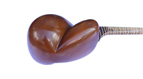 Persian Tar String Musical Instrument By Afshari Et-202 #TOP5