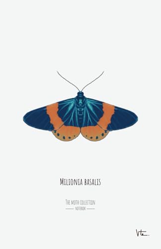 The Moth Collection: Milionia basalis: Paperback Notebook 5,5