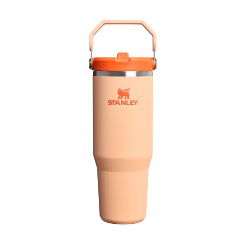 Stanley Flip Straw Tumbler 1.0 Botella Agua con Pajita 0.89L - Conserva el Frío 12 Horas - Termo Agua Fria - Acero Inoxidable - Sin BPA - Fácil de llevar - Apta Para Lavavajillas - Orange Sherbet
