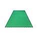 InOut Flooring 8 Green Tiles - High Durability Colored Flooring - Interlocking Versatile Training Surface - Indoor&Outdoor, Dance Floor, Basketball, Multi Sports