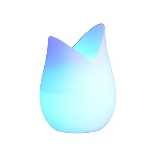 Direct Nature - Fontaine Brumisante Modèle Tulipe