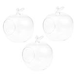 Entretien facile : fabriqué en verre, ce pot est facile à nettoyer et à entretenir, garantissant une utilisation à long micro paysage, vase de hydroponique, pot hydroponique de table