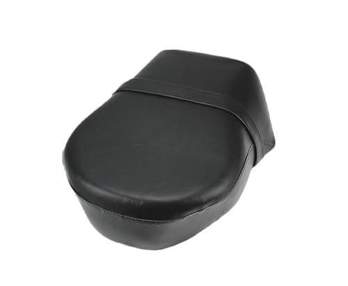 Coussin de siège passager arrière moto pour les virées en duo sur Iron 883 et Nightster