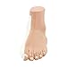 Teaching Model Tools,Foot Model Normal Foot Flat Foot Flat Arch Arch Collapse Model Foot Joint Anatomy Model Teaching Display