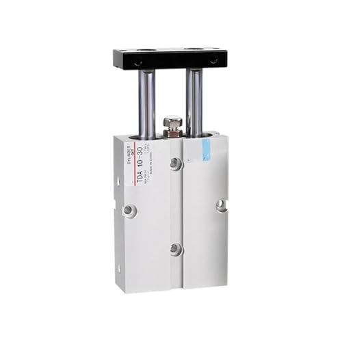 Vérin pneumatique TN TDA32-25 avec double tige robuste