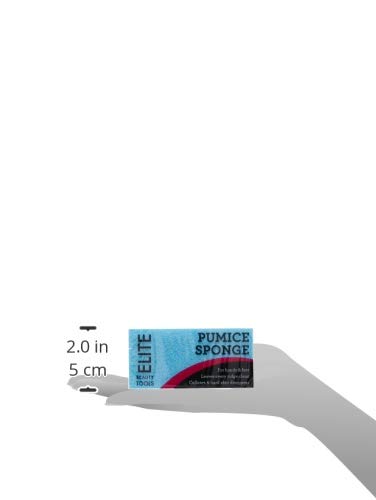 Swissco Pumice Sponge , 3 count