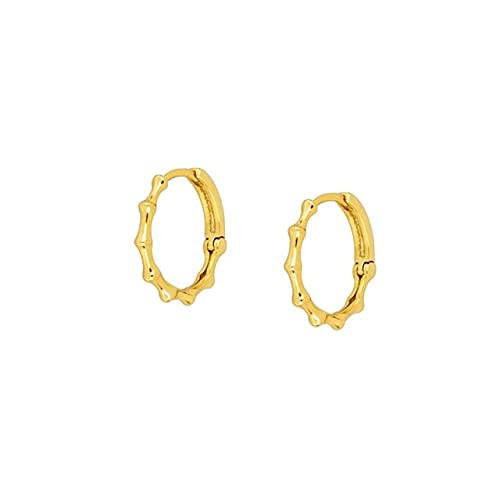 Boucles d'oreilles cerceau femmes en zircon étincelant pour sublimer votre style au quotidien