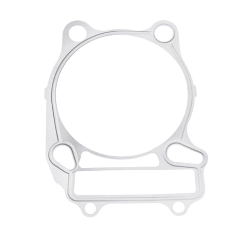 Joint de culasse moto pour DR250 SE 1990-1995