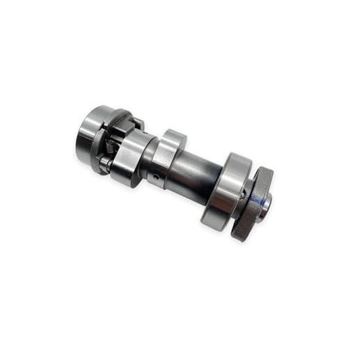 Árbol de levas PR250 ZS172FMM-5 y PR300 repuesto de motor de moto