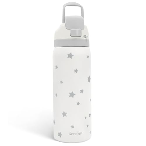 Image of Star Insulated Stainless Steel Water Bottle with Straw for Sports and Travel, 32oz Gifts for Women Girls Friends Teens Birthday Christmas (Grey)