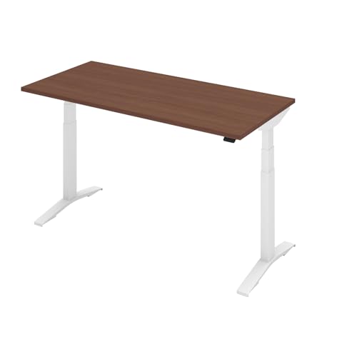 RN X^Wbg_u (qlg / 2) Ld~fXN ([@\/Փˌm/É) X^fBOfXN Q[~OfXN (V155×67.5cm /uEEH[ibg×zCg) DSW-TK1607SA1-S