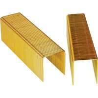 P15BAB Staple Construction 1 x 1.25 in. - 16 Gauge