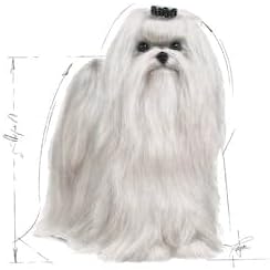 Royal Canin Maltese Kuru Köpek Maması, Yetişkin, 1.5 Kg - Görsel 5