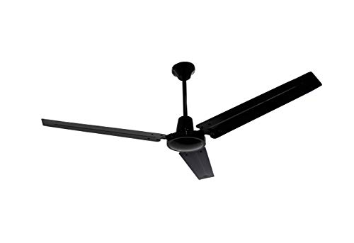 Q Standard 11560 Ceiling Fan