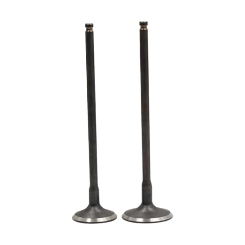 Vástago de admisión YZF R6 de alta resistencia para motor de moto FZ6N