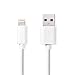 Produktbild USB-Kabel | USB 2.0 | Apple Lightning 8-Pin | USB-A Stecker | 480 Mbps | 12 W | Vernickelt | 2.00 m | rund | PVC | Weiss | Plastikbeutel