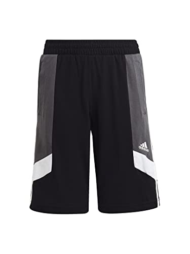 [AfB_X] n[tpc LbY J[ubN 3XgCvX M[tBbgV[c ECO34 ubN/O[t@Cu/zCg (HR6327)