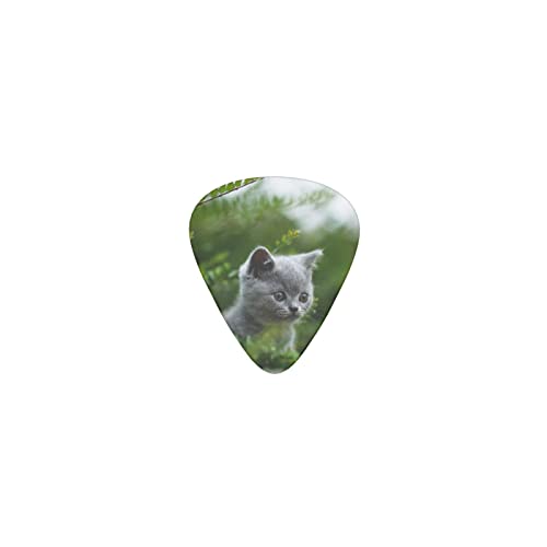 ueBbVV[gwA qL fUCM^[sbN guitar pick eBAhbv^ GLM^[/AR[XeBbNM^[/NVbNM^[/x[X̗KɍœK12Zbg