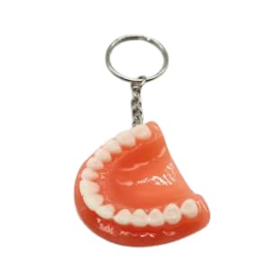 NMD Nexus Memodent Dental Lower Jaw with tooth keychain (Pack of 1) (B0C55J4Y3M) Amazon Price History, Amazon Price Tracker