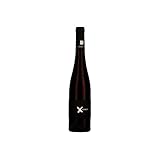 AUSBAU: Edelstahltank Ökonomierat Rebholz X Periment Rotwein Rot süß Deutschland inkl. FeinWert E-Book (1 x 0.5 l)