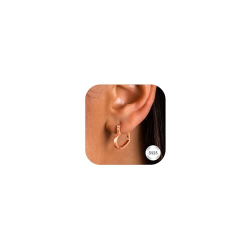 Image of Adramata 925 Sterling Silver Earrings for Women Girls Heart Hoop Earrings