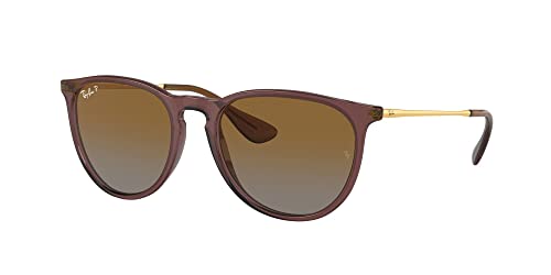 Ray-Ban RB4171 Sunglasses Bundle: RB 4171 ERIKA 6593T5 Erika Transparent Dark Brown B and Eyewear Cleaning Kit