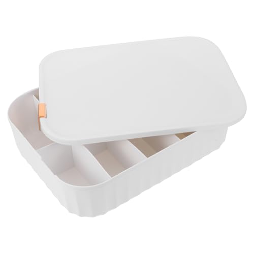 iplusmile Organizador de Cinturones y Calcetines Almacenamiento de Ropa Interior, Caja de Plástico Blanco 10 Compartimentos para Guardar Ropa