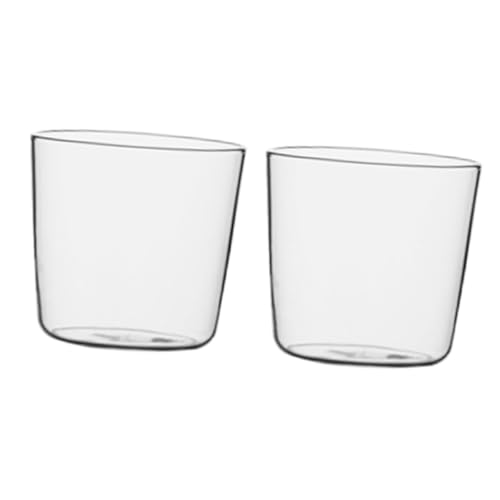 Gatuida 2個 高耐久厚手ガラス冷水壺カバー 耐熱耐冷家用キャラフェリッド キッチン用飲料保存用シングルユーザー用