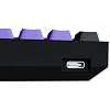 Kraken Keyboards Pro 60 Percent Keyboard 60% Gaming Keyboard Mechanical - Black & Purple - HOT SWAPPABLE - for Gaming On PC, Xbox, PlayStation & MAC (Black Lotus | Silver Switches)