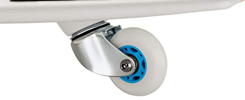 Razor Ripstik Ripsurf Caster Board - Cmyk - Ffp , 10.5 #TOP5