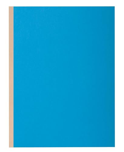 Chemises rigides à soufflet Exacompta 416002E carton de 100 chemises bleu 24x32 dos toilé