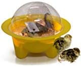 Chick-Bator Incubator