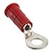 #8 Ring Terminal, 22-18 Awg