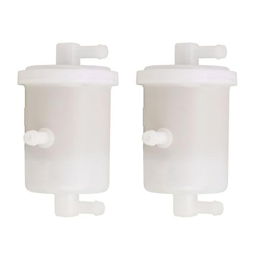 Filtro de combustible dual para sustitución OEM 1963730088 y WGF922 en revisiones periódicas