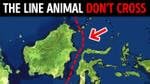 No Animals Ever Pass This Invisible Border, Here's Why