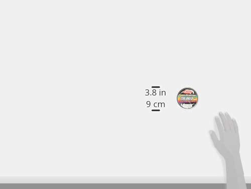 Berkley (バークレー) スーパーファイヤーライン 1.0号/16lb 300m 10m毎カラード PEライン/スーパーライン 3枚目