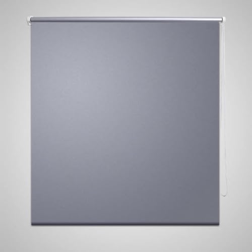 Home Garden - Estor enrollable opaco (100 x 230 cm), color gris