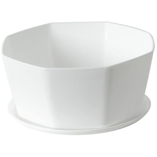 Peosaard Maceta Poco Profunda 5.9 macetas