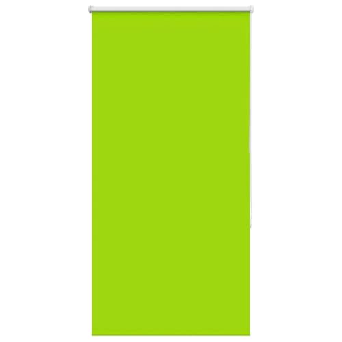 LAPOOH Estor Enrollable Opaco Hojas Verde 65x150 cm Tela Ancho 60,7 cm, Ventanas Dormitorio, Persianas Enrollables Exterior, Estores Cocina, Estor Ventana, Estores para Ventanas es - 4011251