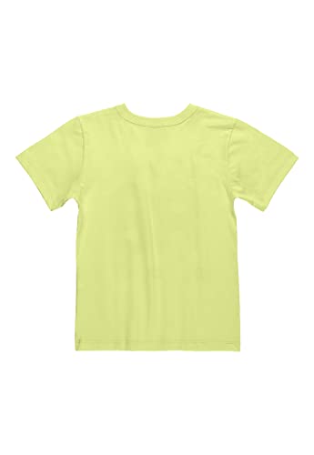 Conjunto Menino Camiseta Manga Curta E Bermuda Estampada Bee Loop