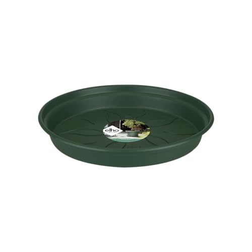 Elho Green Basics Saucer 22 - Sottovaso per Interno Esterno Coltura E Raccolta Accessori - Ø 21.5 x H 3.2 cm - Verde/Leaf Green