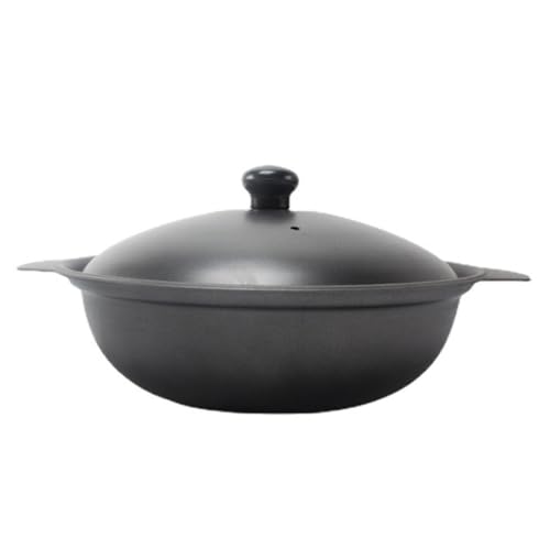 TIDTALEO Olla de Hierro Fundido Pequeña de 20 Cm con Tapa, Resistente al Calor para Arroz y Pollo Estofado, Cazuela Esmaltada para Cocina de Inducción y Uso Doméstico