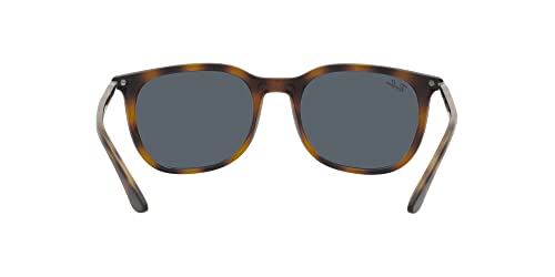 Image of Ray-Ban RB4386 Square Sunglasses