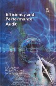 Efficiency Performance Audit Efficiency and Performance Audit | Amazon.com.br