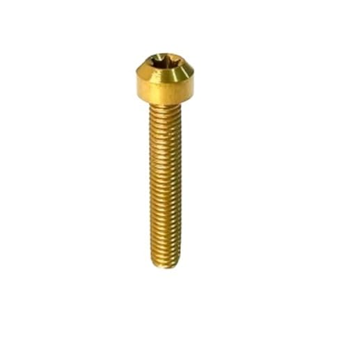 1pc Titanium Torx Cap Head Screw M4 M5 M6 M8 Six-Lobe Colourful Ti Bolts For Bicycle Motor Modify(Gloden,M6X35)