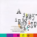 Journey Into Ambient Groove 2 [Audio CD]