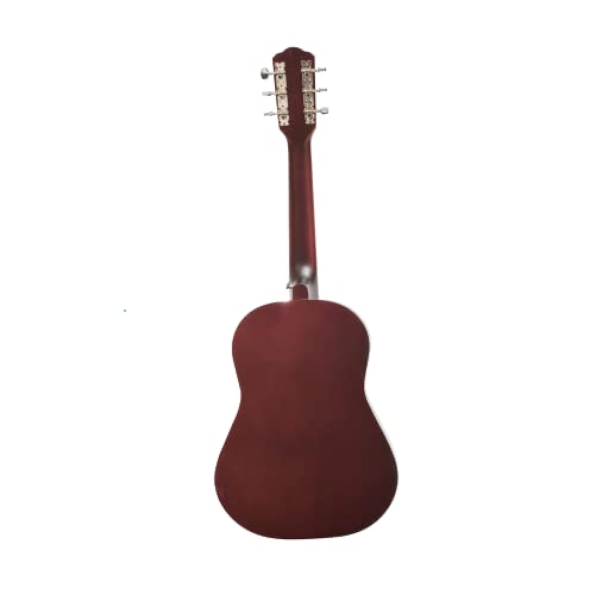 VIP-383 Acoustic Guitar Kit with Bag and Accessories