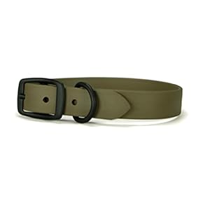 Range Day Dog Collar – Adjustable Collar for Active Dog – Heavy Duty Design with Secure Buckle & Easy Fit – Perfect for Outdoor Adventures & Training