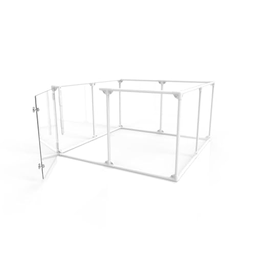 Clearly Loved Pets 27